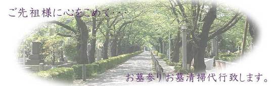 お墓清掃【雑草コース】